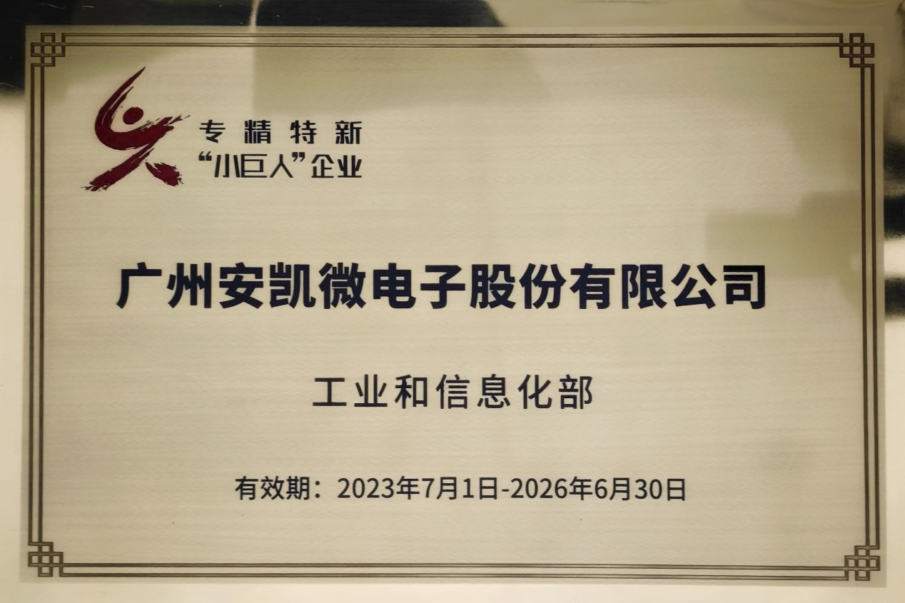 专精特新“小巨人” 专精特新“小巨人”