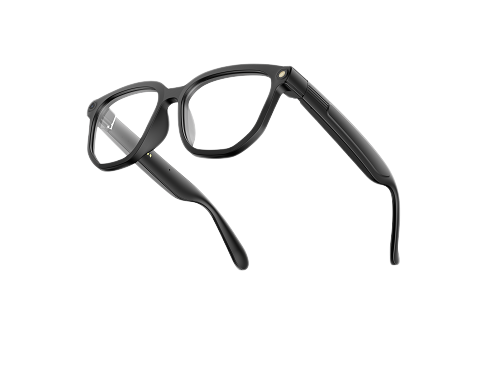 AI Glasses